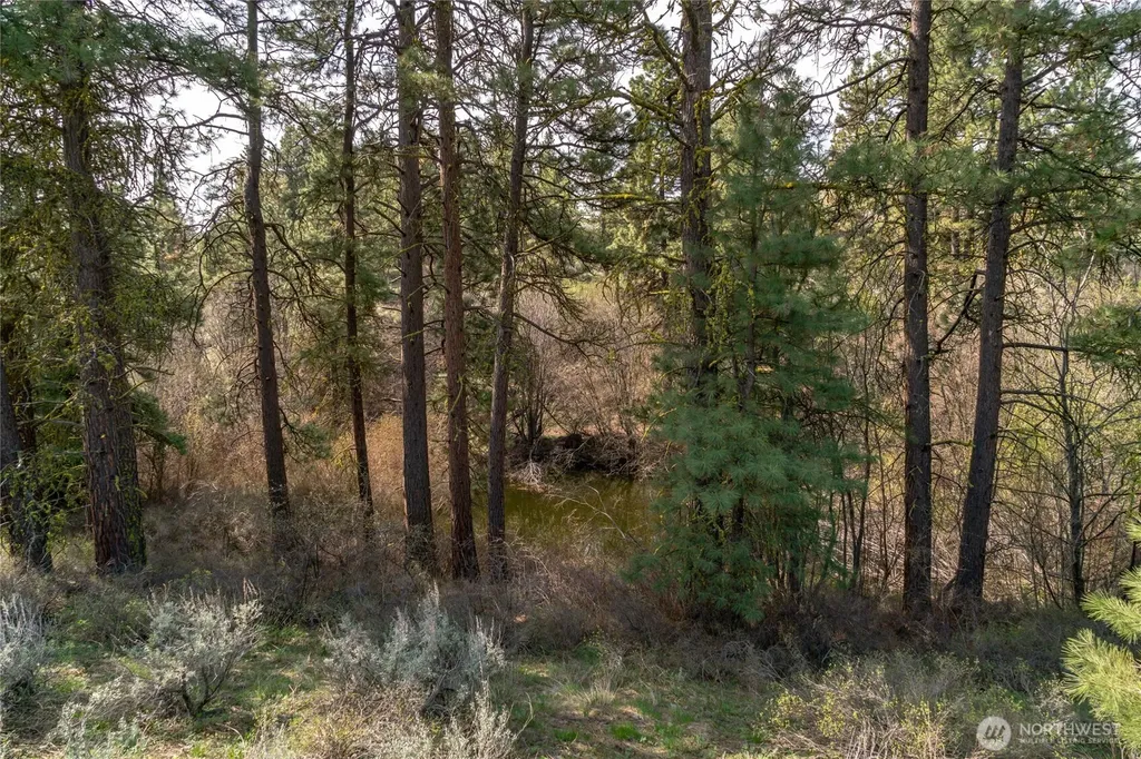 105 Wild Turkey Road East Wenatchee WA 98802