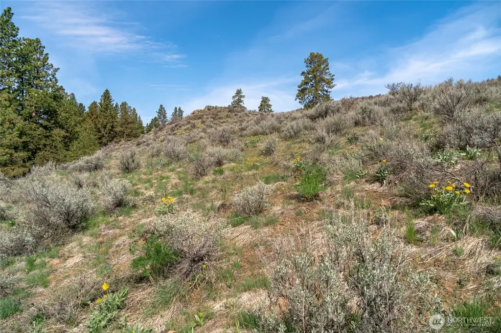 105 Wild Turkey Road East Wenatchee WA 98802