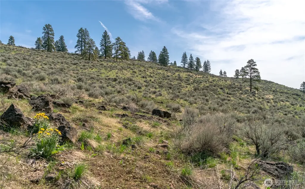 105 Wild Turkey Road East Wenatchee WA 98802