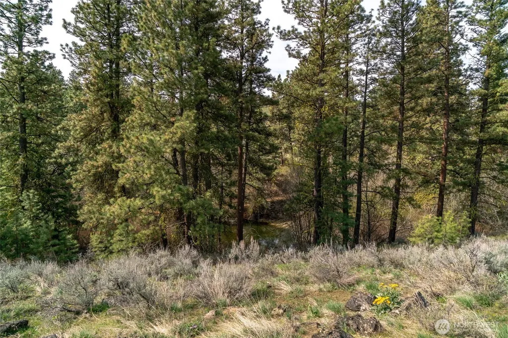 105 Wild Turkey Road East Wenatchee WA 98802