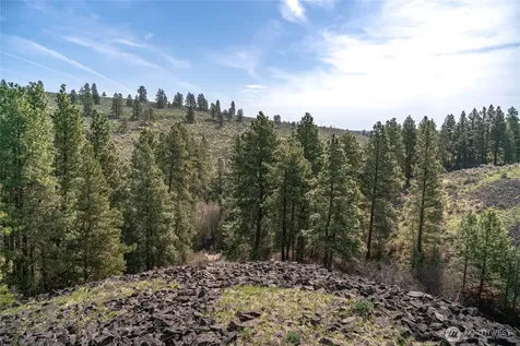 105 Wild Turkey Road East Wenatchee WA 98802