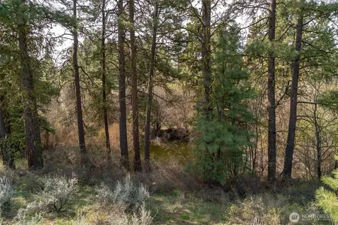 105 Wild Turkey Road East Wenatchee WA 98802