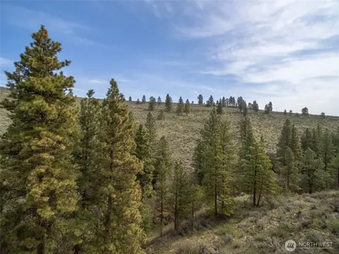 105 Wild Turkey Road East Wenatchee WA 98802