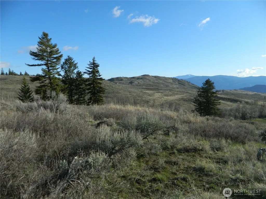 0 Tbd Ellemeham Ridge Road Tonasket WA 98855