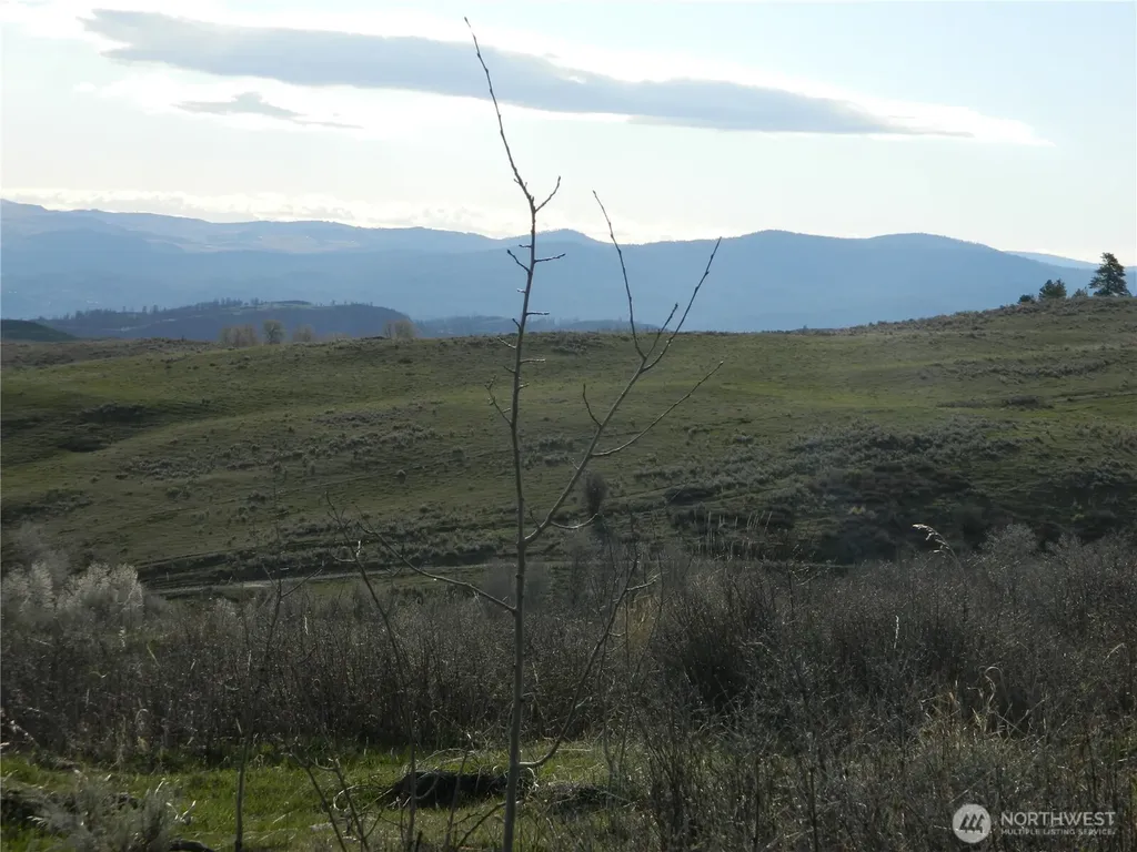 0 Tbd Ellemeham Ridge Road Tonasket WA 98855