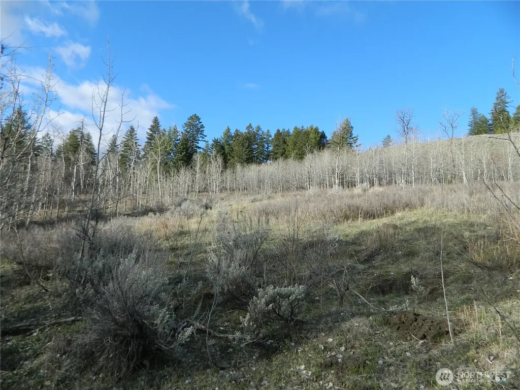 0 Tbd Ellemeham Ridge Road Tonasket WA 98855