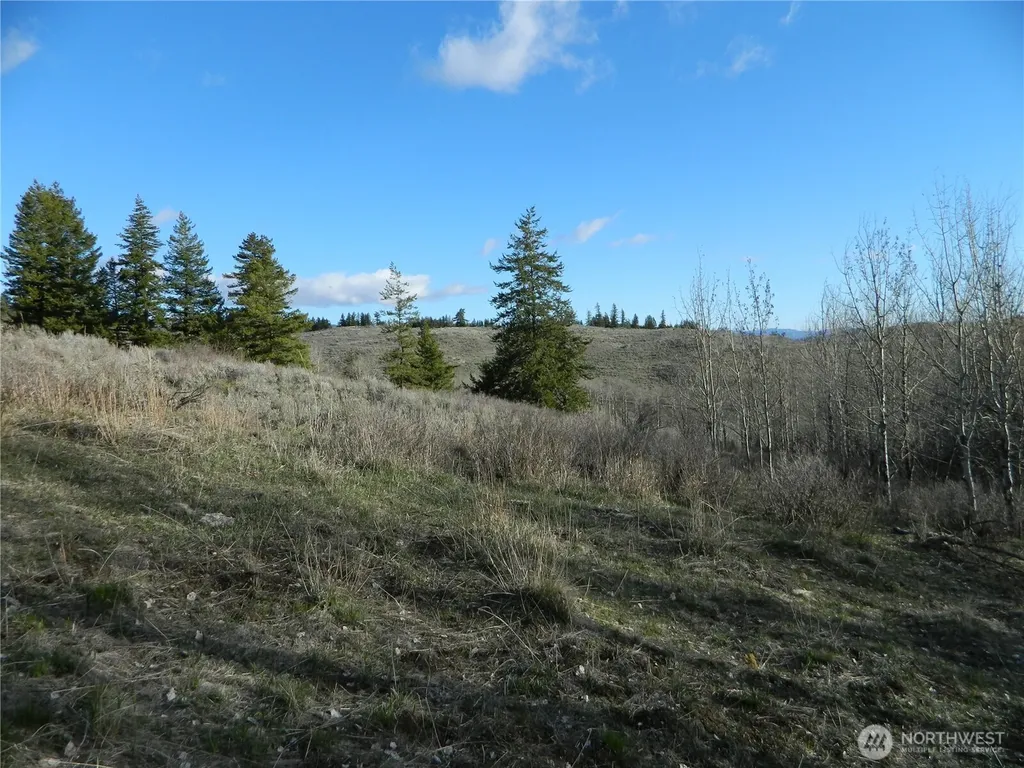 0 Tbd Ellemeham Ridge Road Tonasket WA 98855