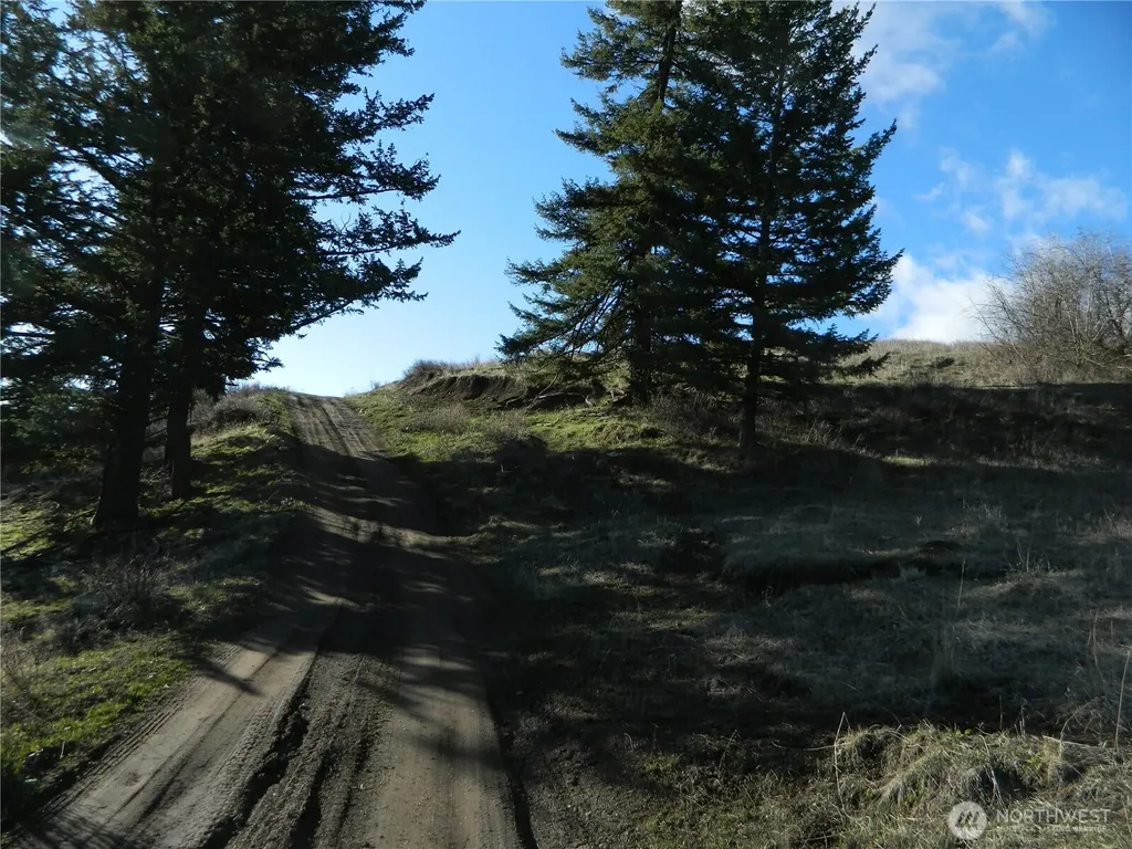0 Tbd Ellemeham Ridge Road Tonasket WA 98855