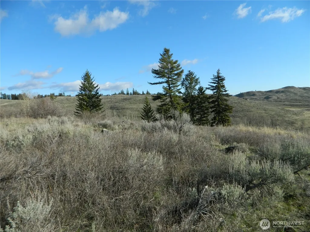 0 Tbd Ellemeham Ridge Road Tonasket WA 98855