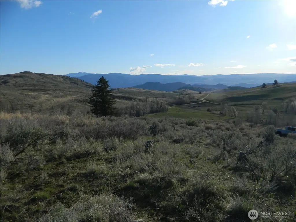 0 Tbd Ellemeham Ridge Road Tonasket WA 98855