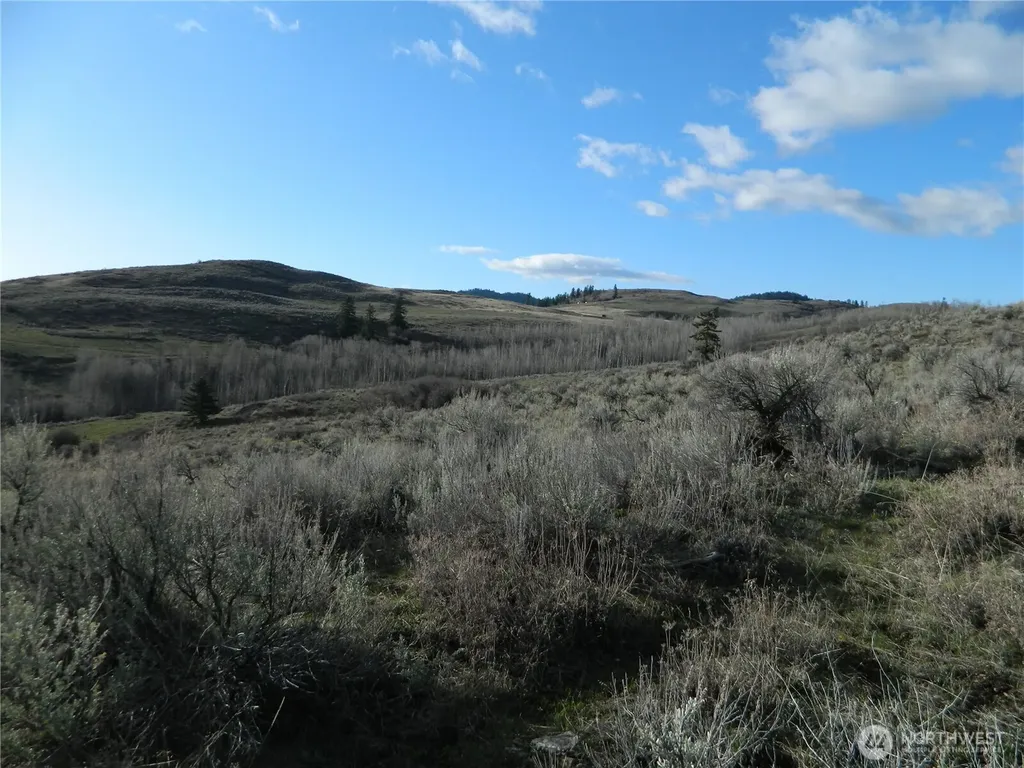 0 Tbd Ellemeham Ridge Road Tonasket WA 98855