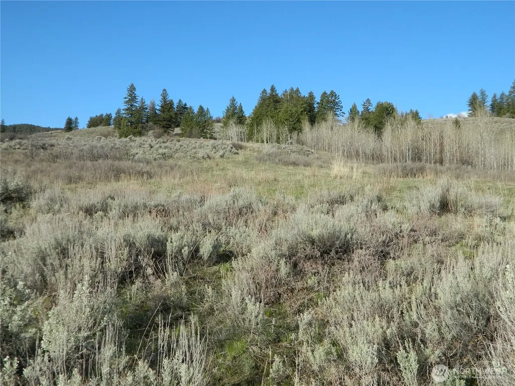 0 Tbd Ellemeham Ridge Road Tonasket WA 98855