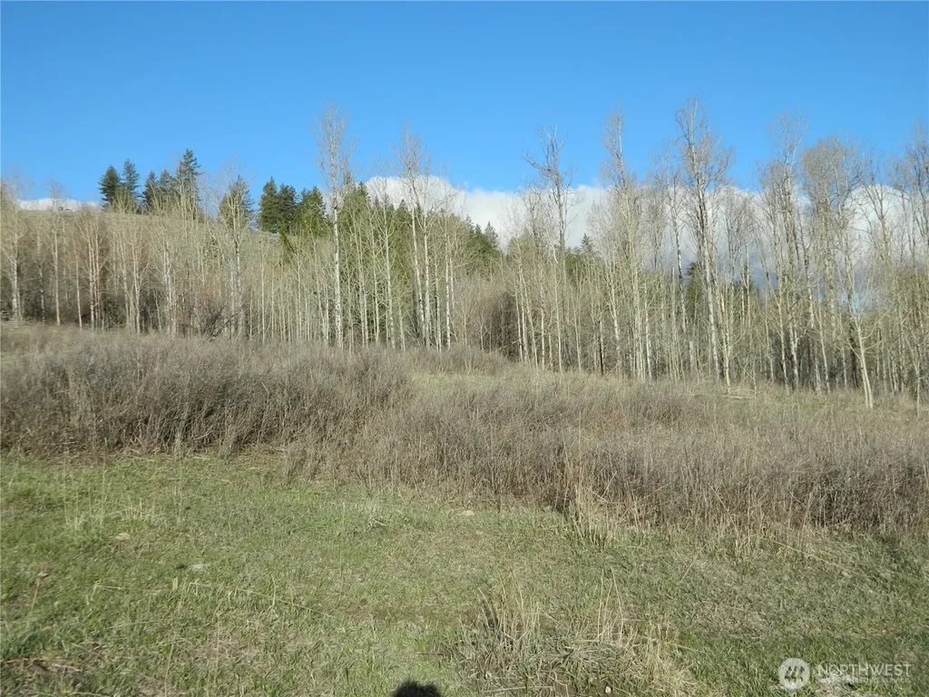 0 Tbd Ellemeham Ridge Road Tonasket WA 98855