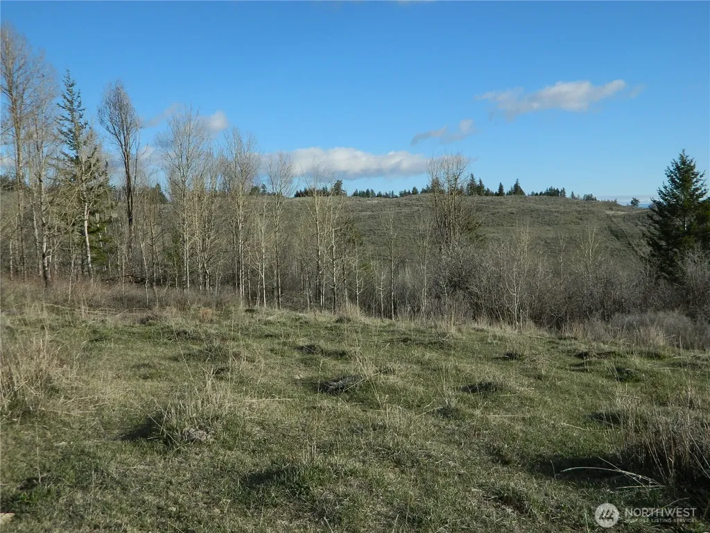 0 Tbd Ellemeham Ridge Road Tonasket WA 98855