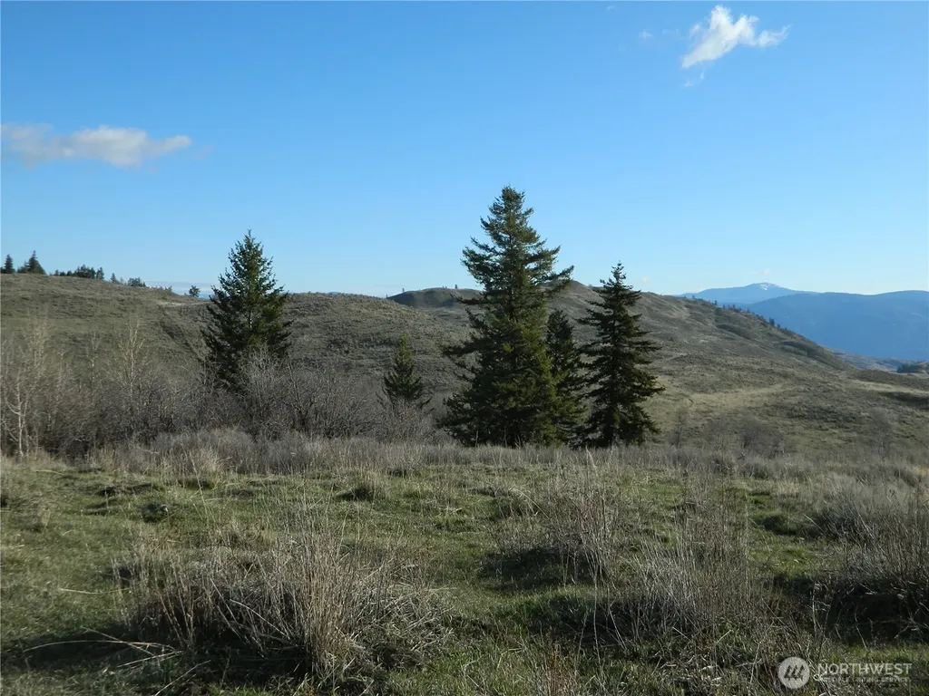 0 Tbd Ellemeham Ridge Road Tonasket WA 98855