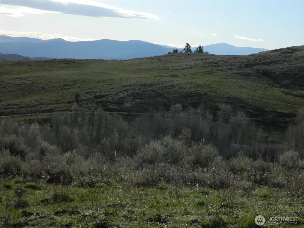 0 Tbd Ellemeham Ridge Road Tonasket WA 98855