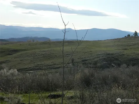 0 Tbd Ellemeham Ridge Road Tonasket WA 98855
