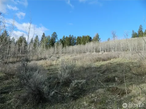 0 Tbd Ellemeham Ridge Road Tonasket WA 98855