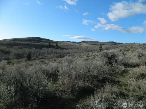 0 Tbd Ellemeham Ridge Road Tonasket WA 98855