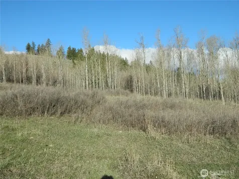 0 Tbd Ellemeham Ridge Road Tonasket WA 98855