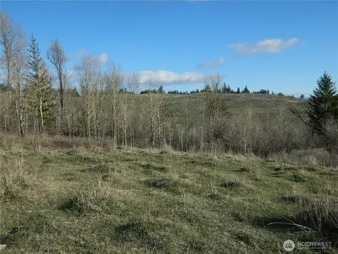 0 Tbd Ellemeham Ridge Road Tonasket WA 98855