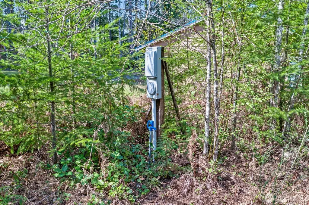 60 N Beaver Place N Hoodsport WA 98548
