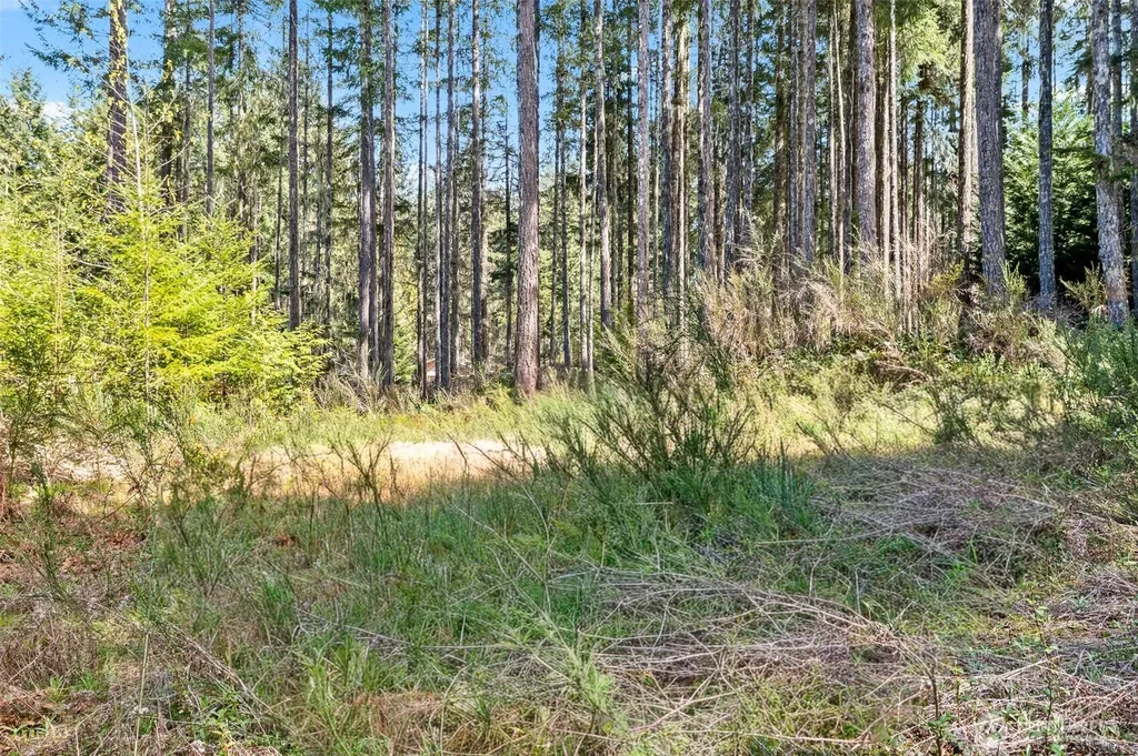 60 N Beaver Place N Hoodsport WA 98548