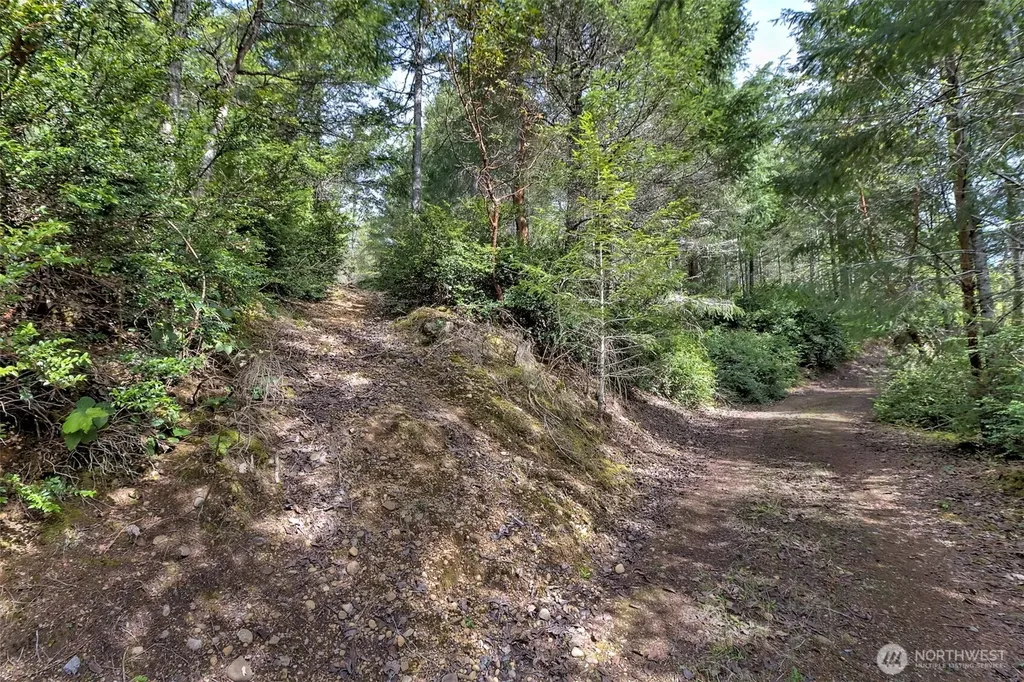 100 E Skyview Drive Union WA 98592