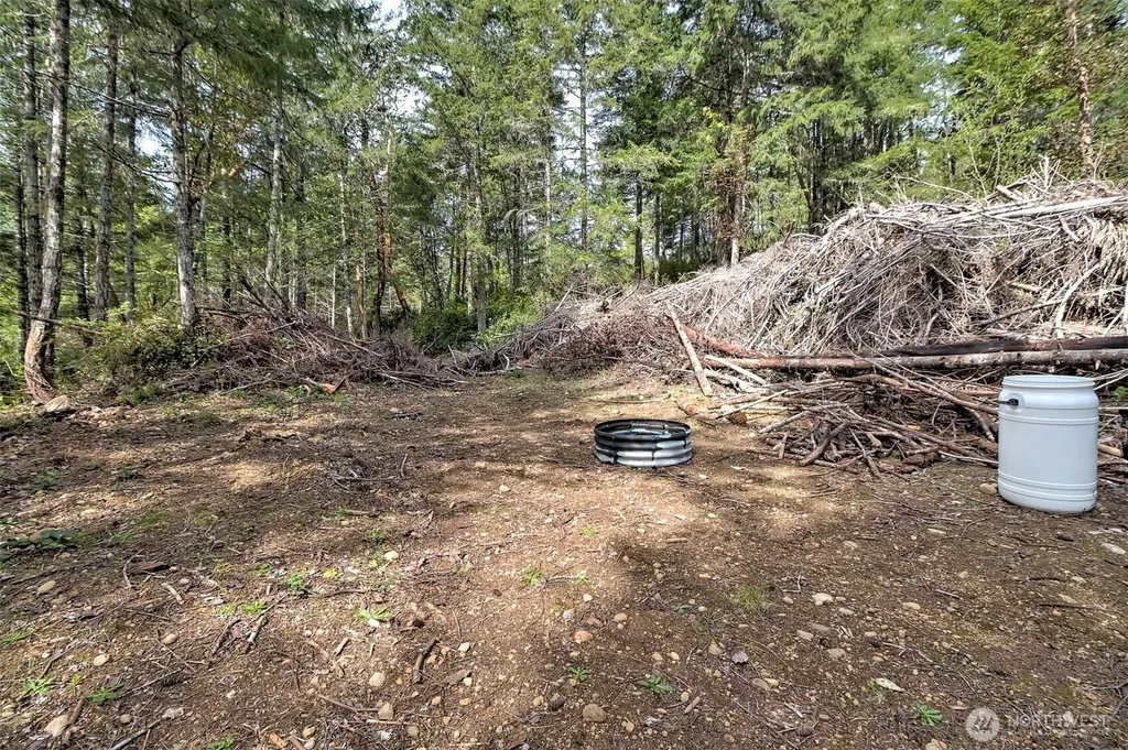 100 E Skyview Drive Union WA 98592