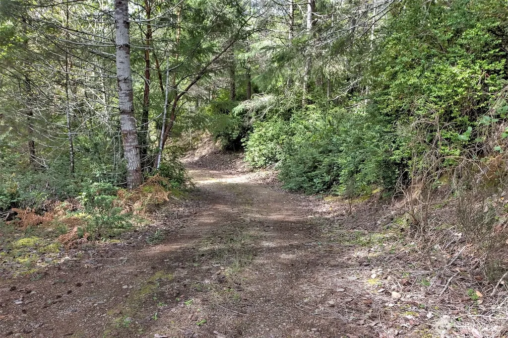100 E Skyview Drive Union WA 98592