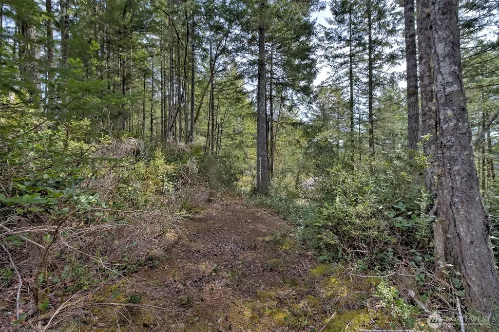 100 E Skyview Drive Union WA 98592