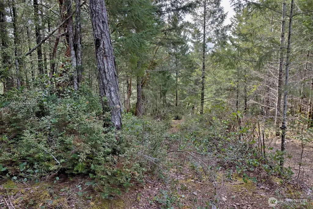 100 E Skyview Drive Union WA 98592