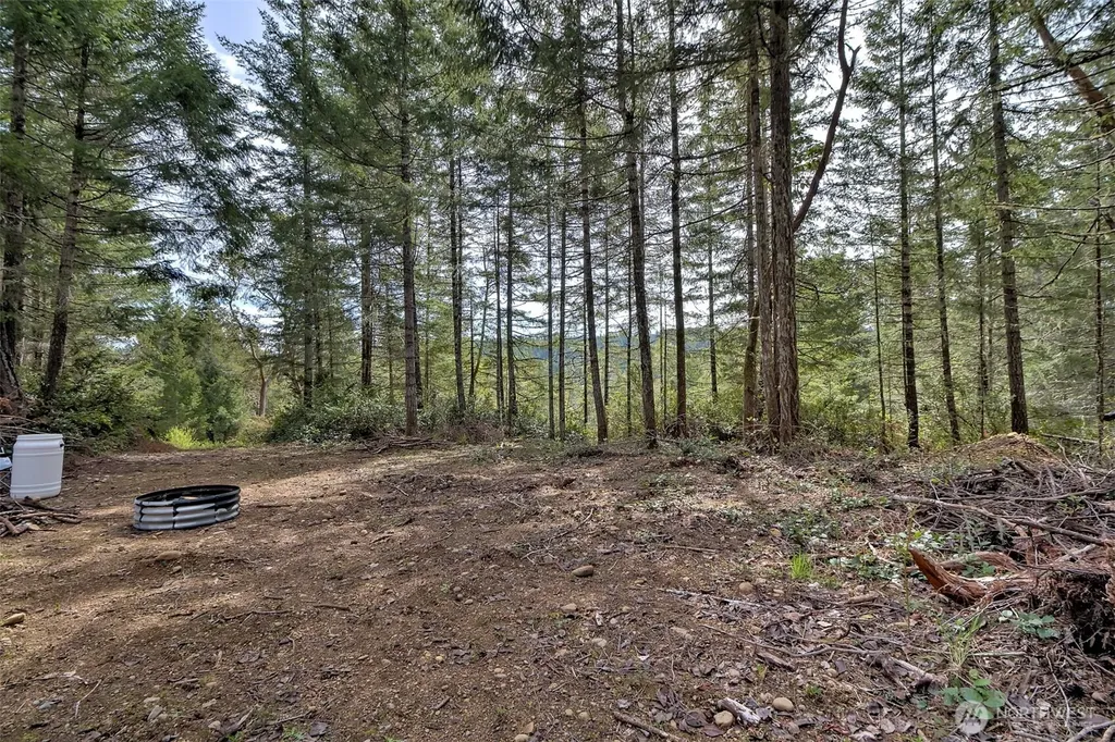 100 E Skyview Drive Union WA 98592