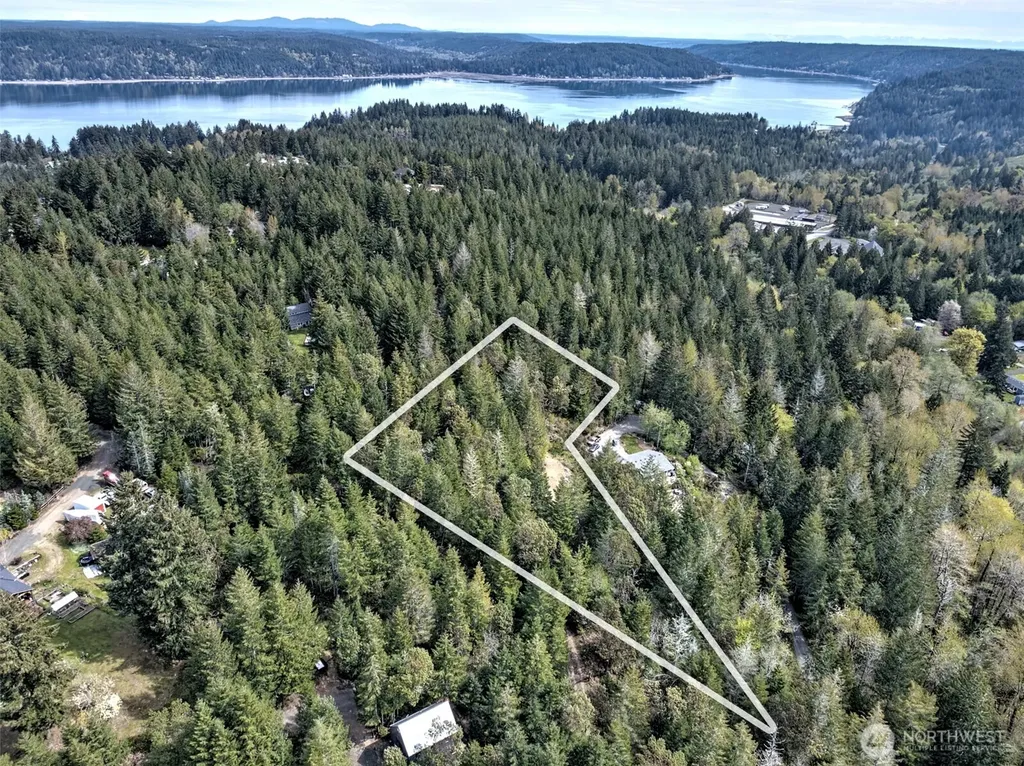100 E Skyview Drive Union WA 98592