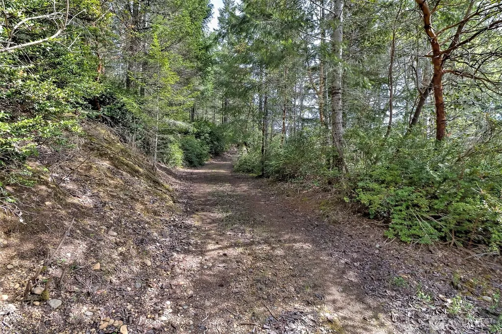 100 E Skyview Drive Union WA 98592