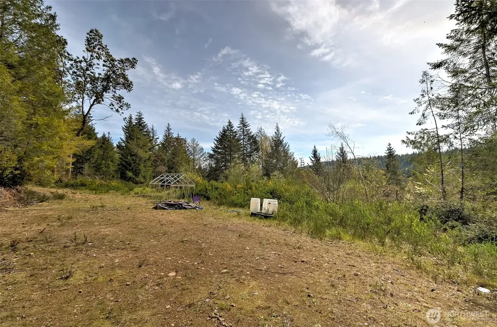 100 E Skyview Drive Union WA 98592