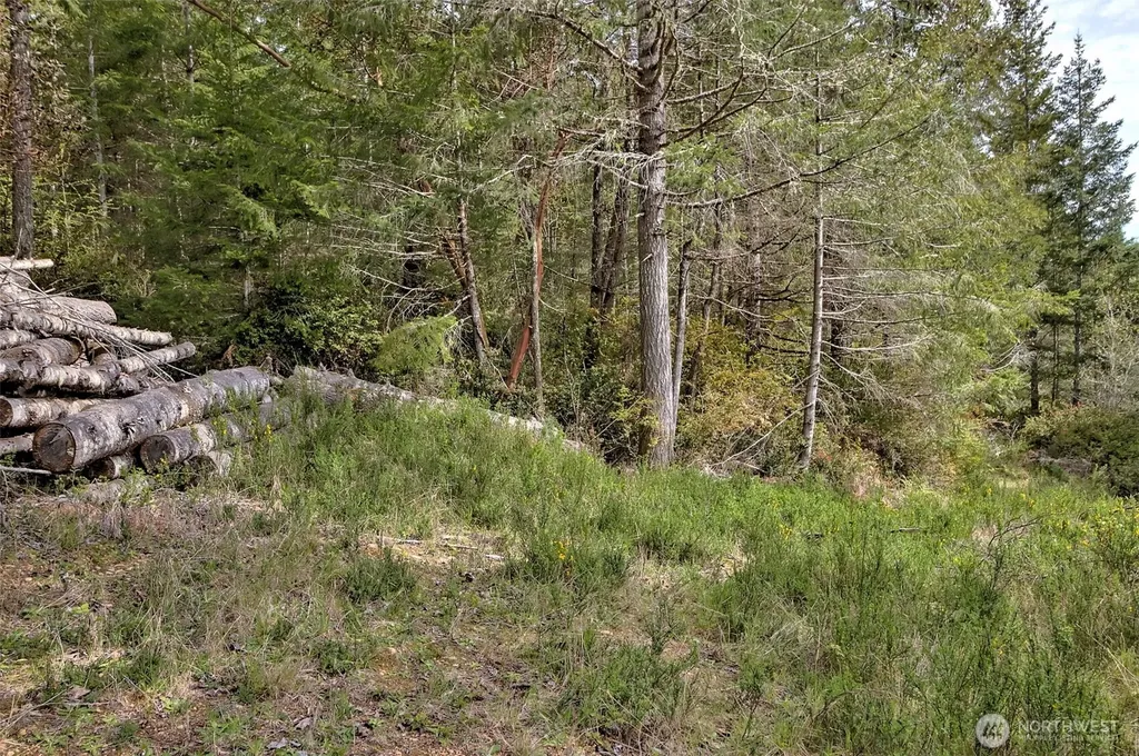 100 E Skyview Drive Union WA 98592