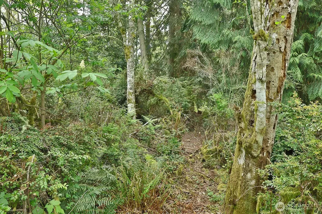0 Goss Lake Road Langley WA 98260