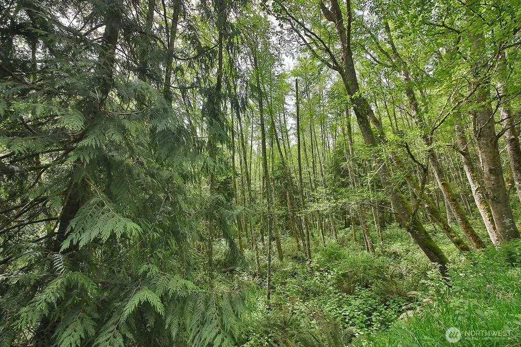 0 Goss Lake Road Langley WA 98260