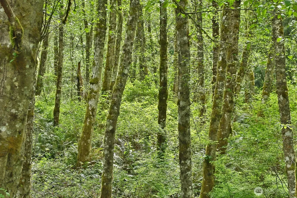 0 Goss Lake Road Langley WA 98260
