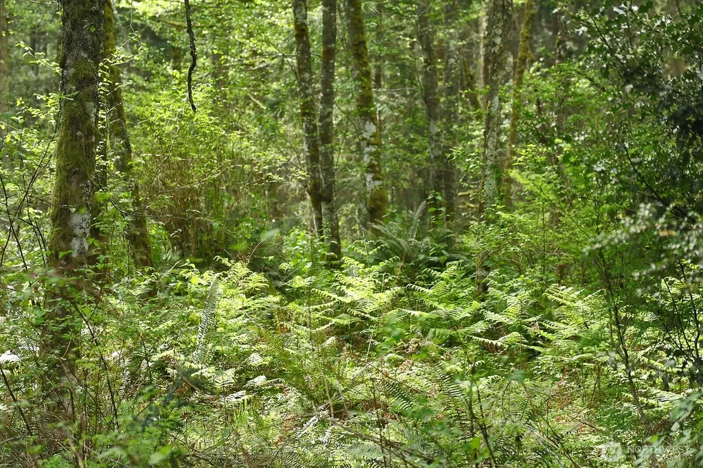 0 Goss Lake Road Langley WA 98260