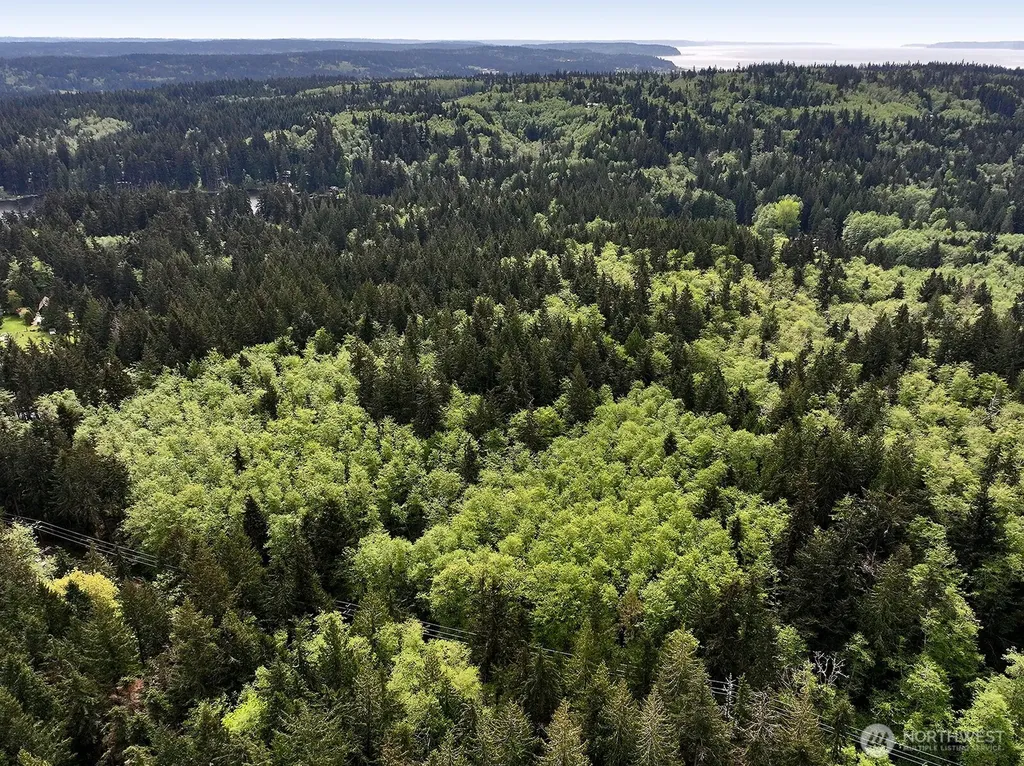 0 Goss Lake Road Langley WA 98260