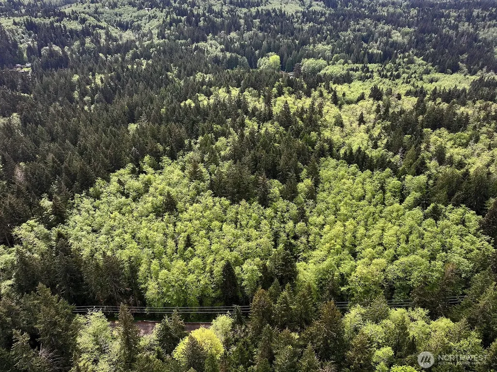 0 Goss Lake Road Langley WA 98260