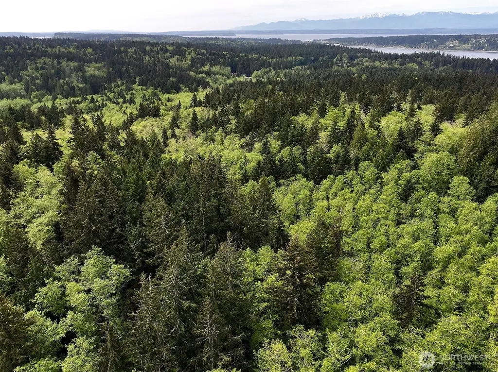 0 Goss Lake Road Langley WA 98260