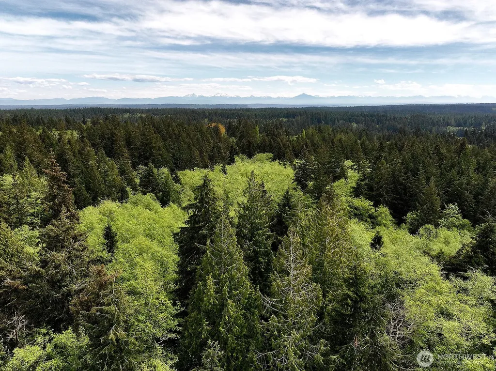 0 Goss Lake Road Langley WA 98260