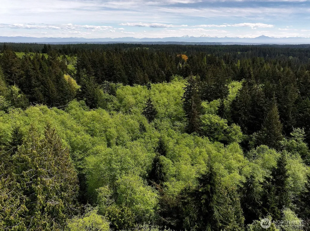 0 Goss Lake Road Langley WA 98260
