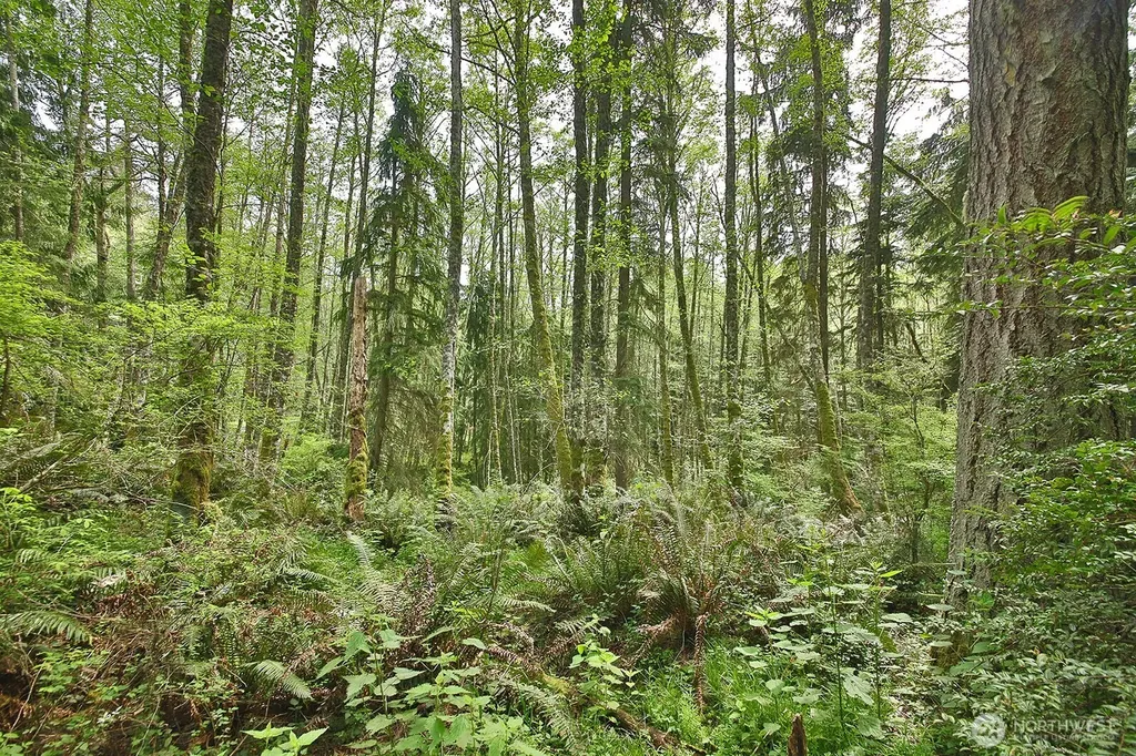 0 Goss Lake Road Langley WA 98260
