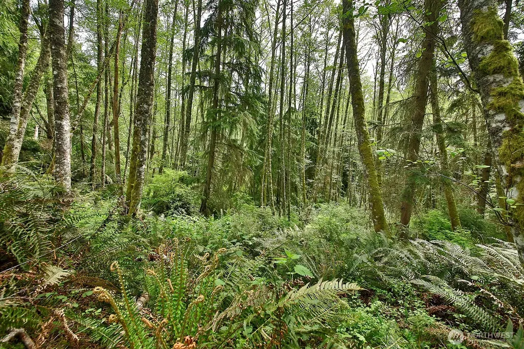 0 Goss Lake Road Langley WA 98260