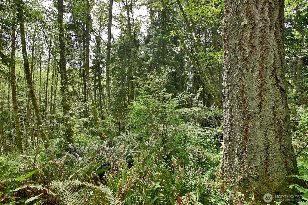 0 Goss Lake Road Langley WA 98260