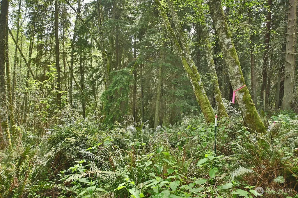 0 Goss Lake Road Langley WA 98260